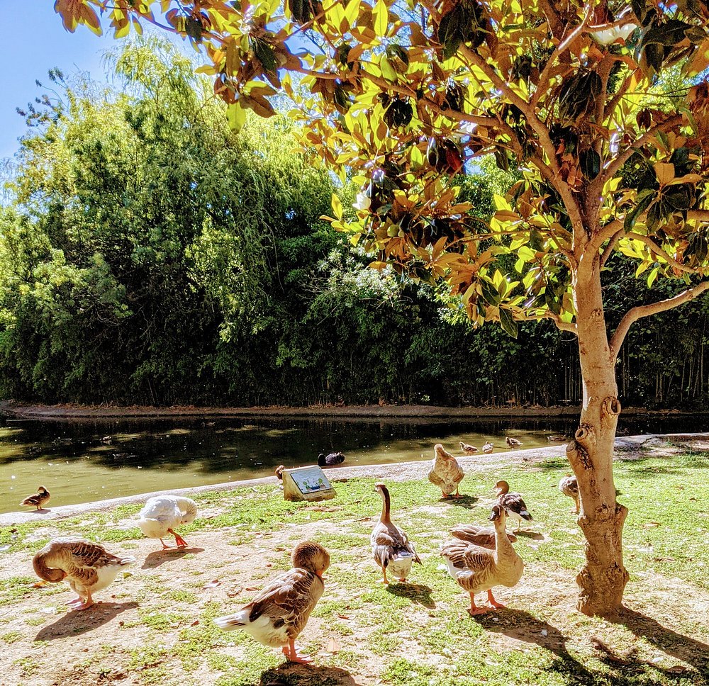 Parc du Pré Sandin toulon france