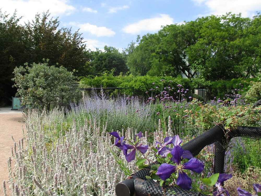 Parc André Citroën in Paris, France