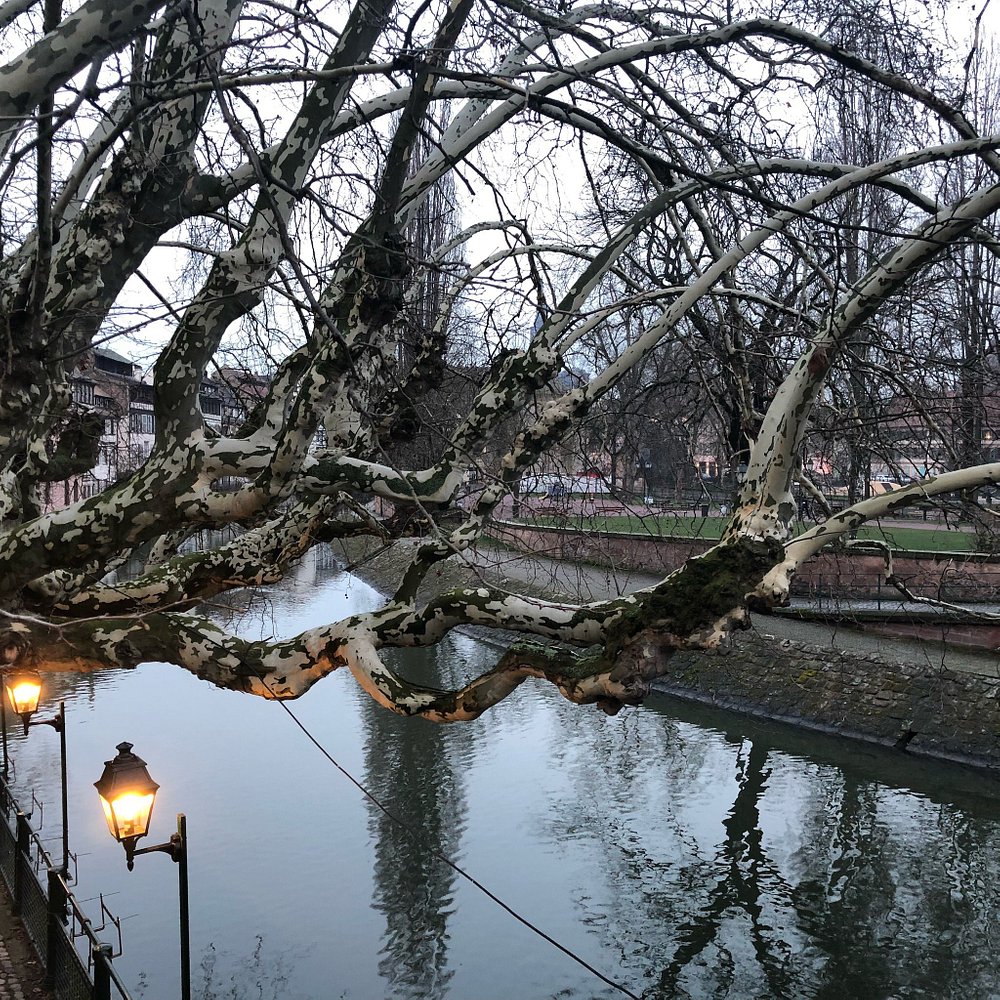 Square Louise Weiss in Strasbourg, France