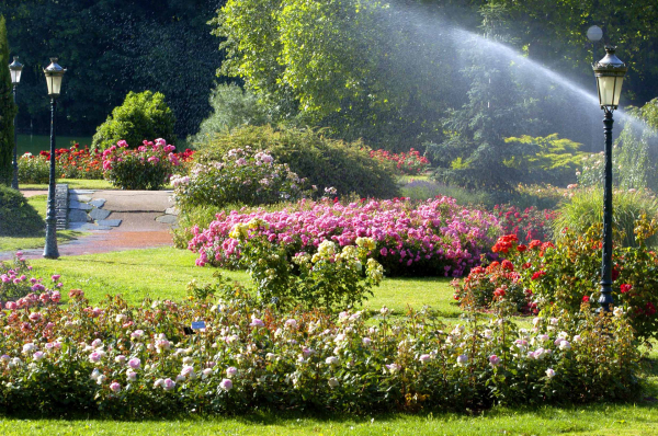 Parc de la Tête d'Or in Lyon, France