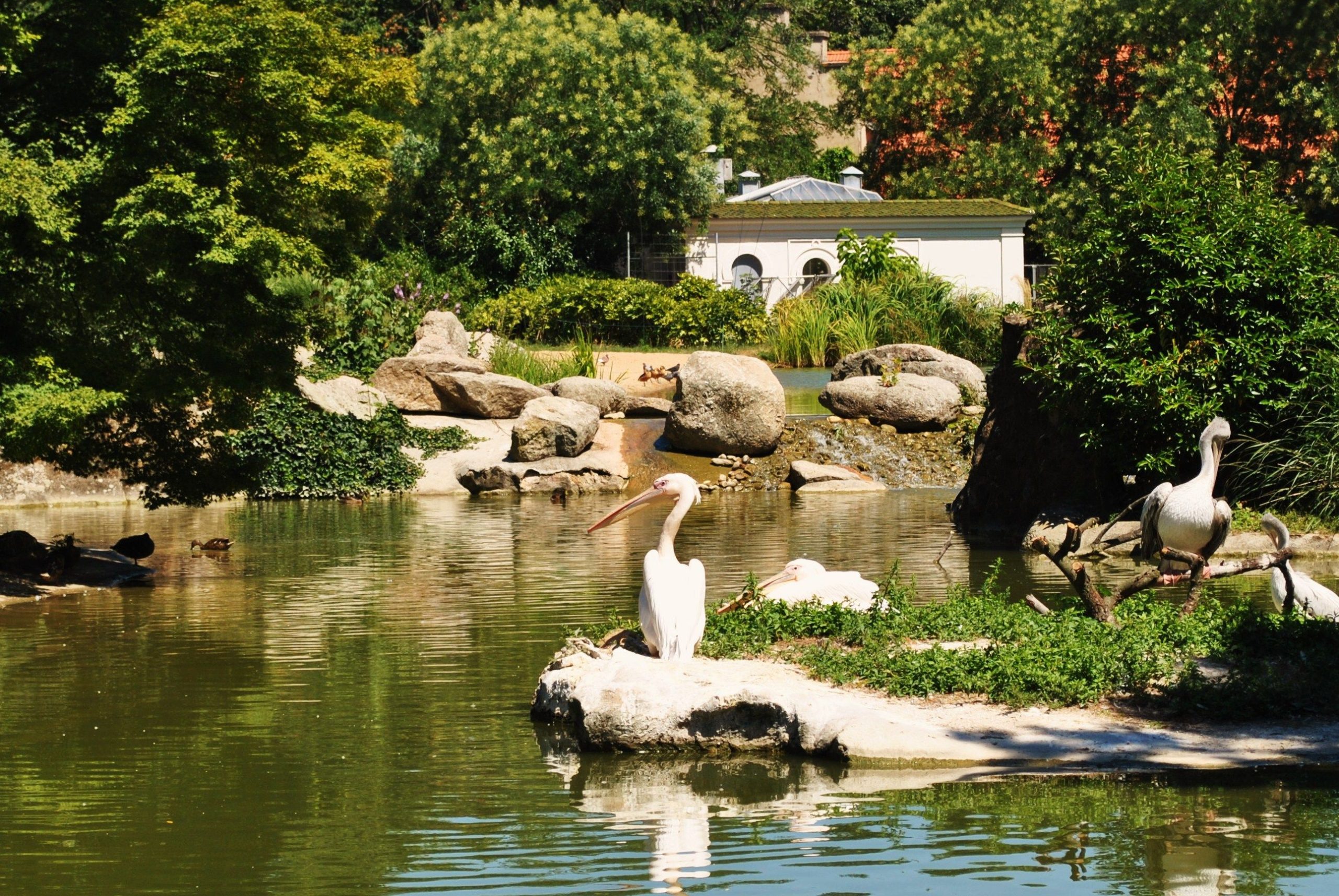 Parc de la Tête d'Or in Lyon, France