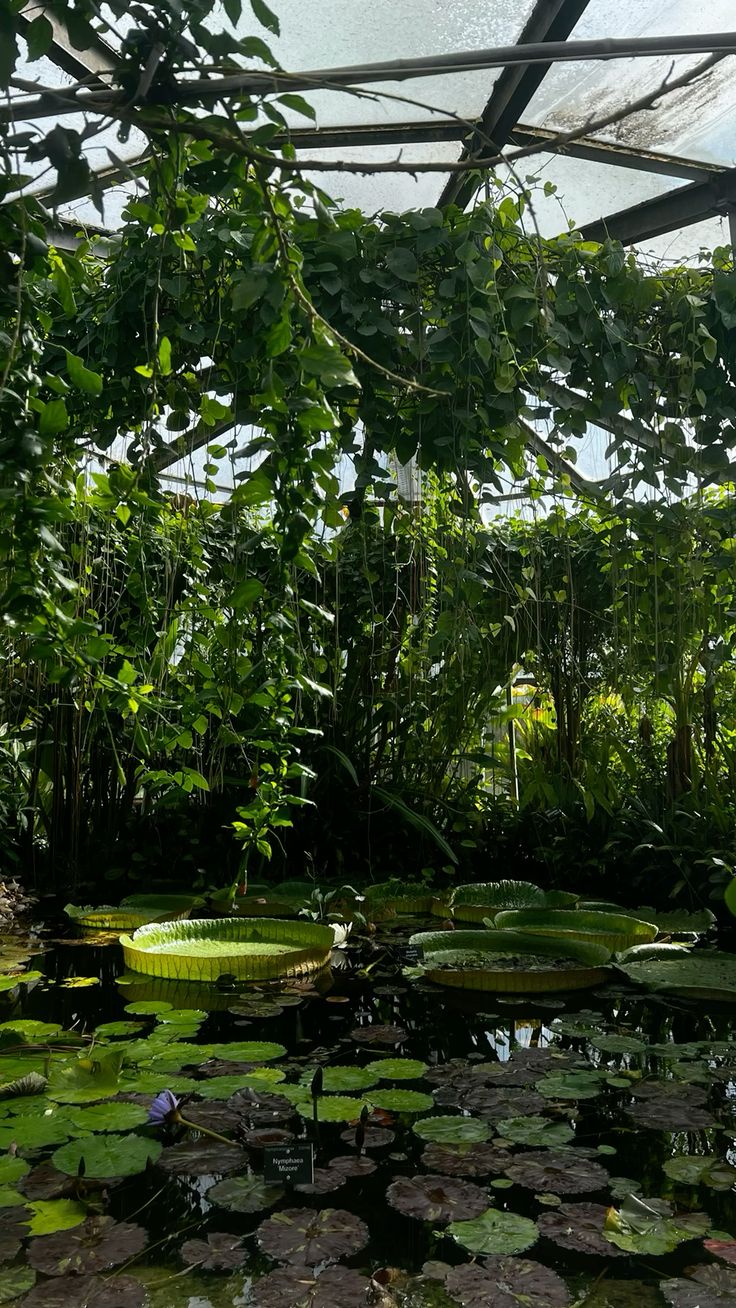 Parc de la Tête d'Or in Lyon, France