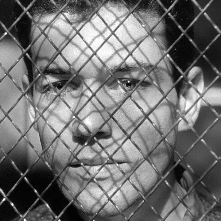 the classic French film 'Le Trou' (1960)