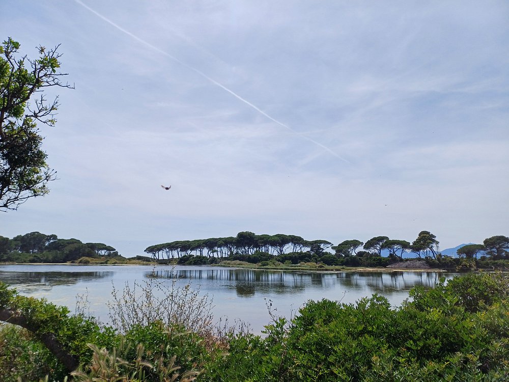 Îles de Lérins near Cannes, France